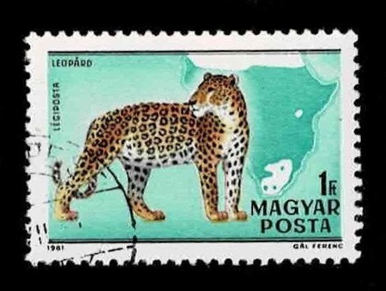 postzegel 438 lp Hongarije dieren Luipaard, Ophalen of Verzenden, Gestempeld