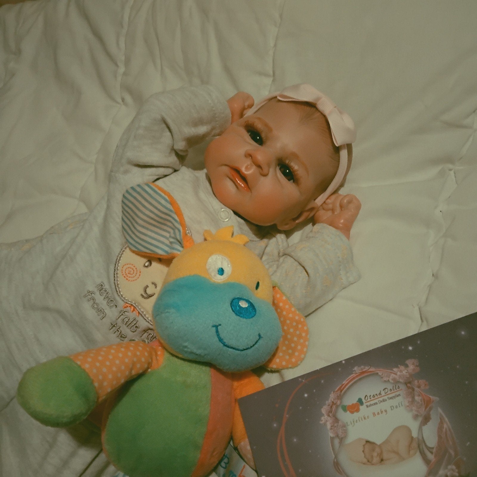 reborn meisje, Ophalen of Verzenden, Nieuw, Babypop, Levensecht of Reborn