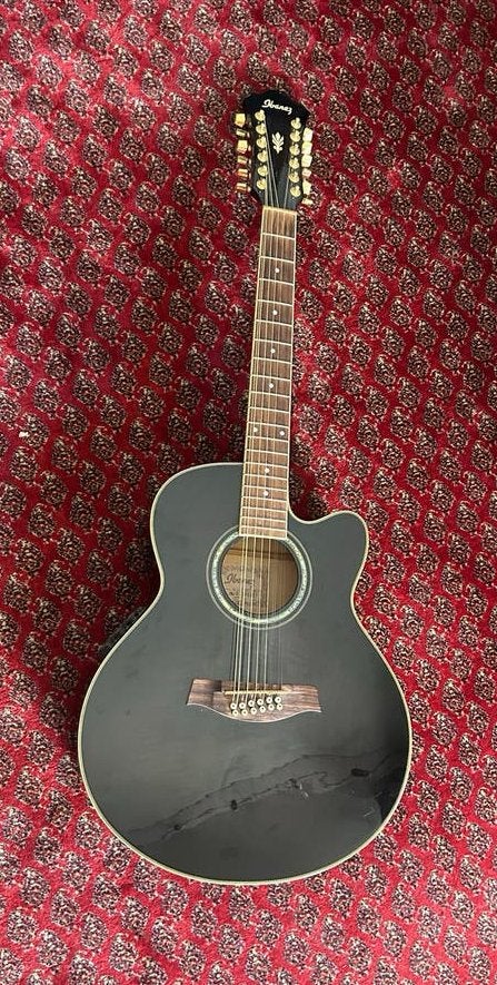 Ibanez AEL2012ETKS1202 12-snarige Westerngitaar met element, Ophalen, Zo goed als nieuw, Western- of Steelstringgitaar, 12-snarig