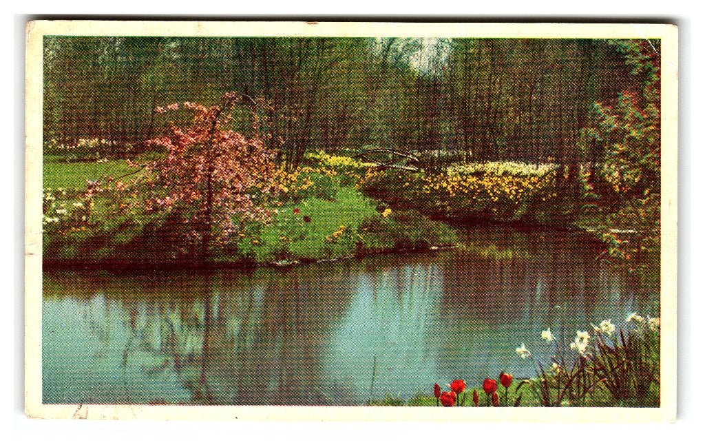 Lisse, "Keukenhof", Verzenden, 1940 tot 1960, Gelopen, Zuid-Holland