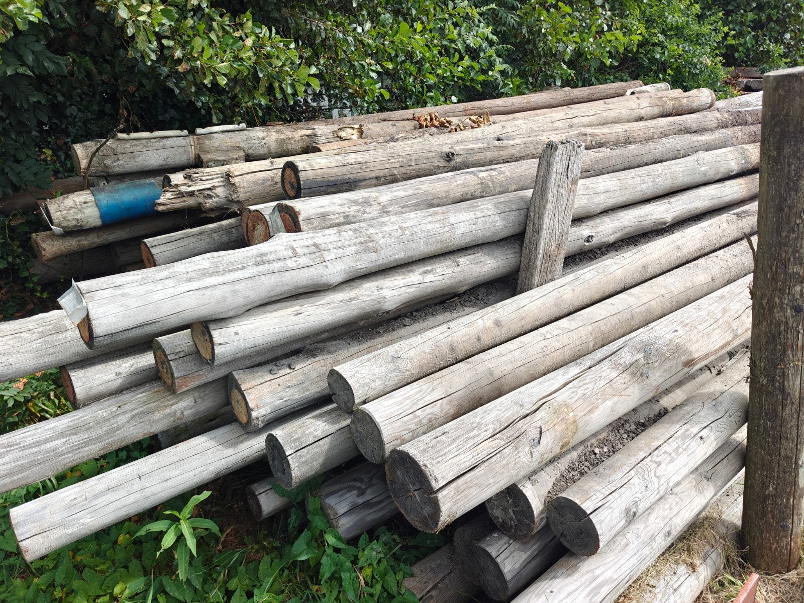 Gebruikte palen. Grenen, lariks en hardhout. Lg 5 tot 7 m'., Ophalen, Gebruikt, Overige typen, 5 meter of hoger