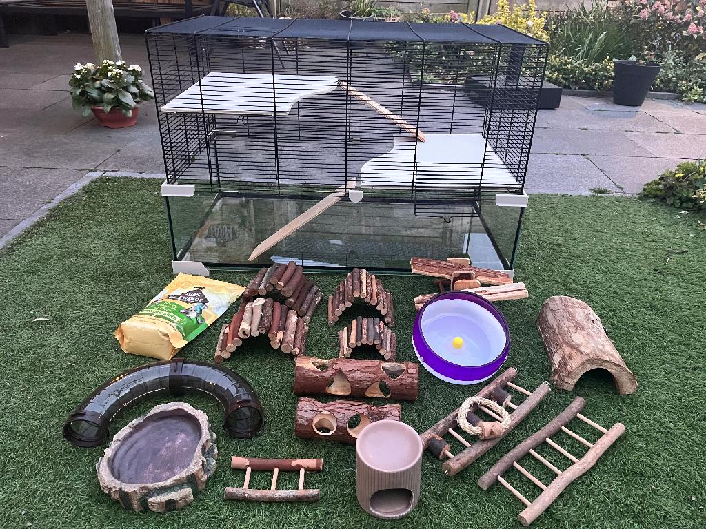 Hamster hok met toebehoren, Dieren en Toebehoren, Knaagdieren en Konijnen | Hokken en Kooien, Zo goed als nieuw, Muis, Hok, 75 tot 110 cm