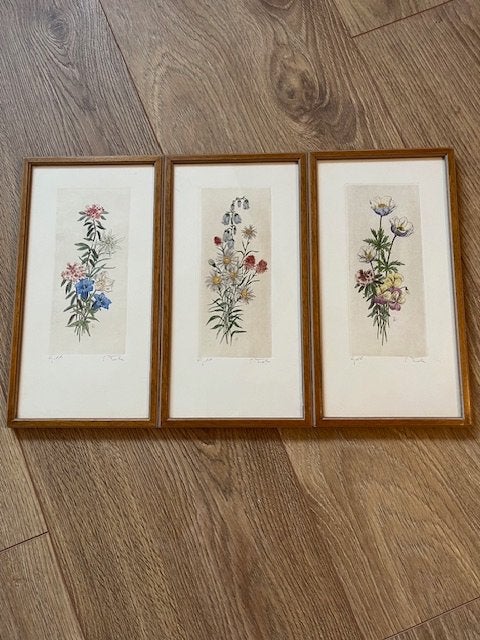 Tsitske tiele modderman bloemenetsen, gesigneerd, Antiek en Kunst, Ophalen, 1950 - 1999, Ets, Flora en Fauna