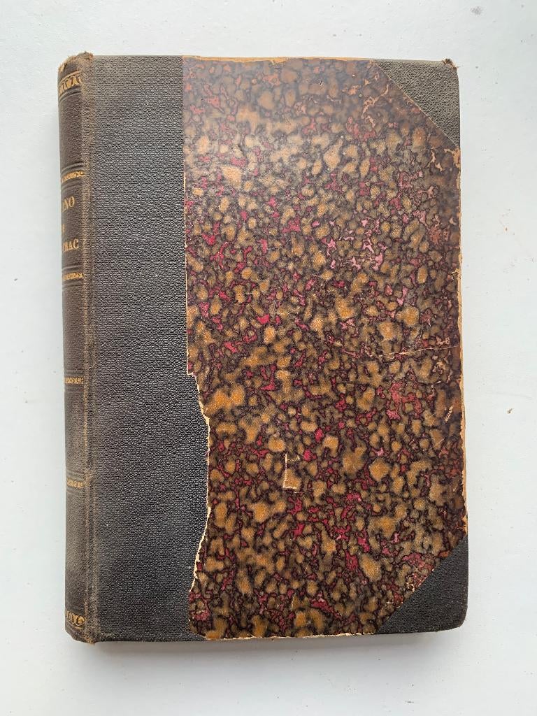 Cyrano de Bergerac Edmond Rostand 1898 (Frans), Ophalen of Verzenden
