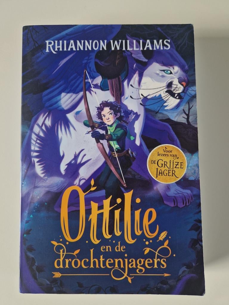 Rhiannon Williams - Ottilie en de drochtenjagers, Gelezen, Ophalen of Verzenden, Rhiannon Williams, Fictie