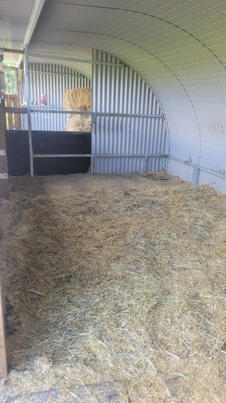 Volpension plek aangeboden voor 2 a 3 kleine pony's, Dieren en Toebehoren, Opfok, 2 of 3 paarden of pony's