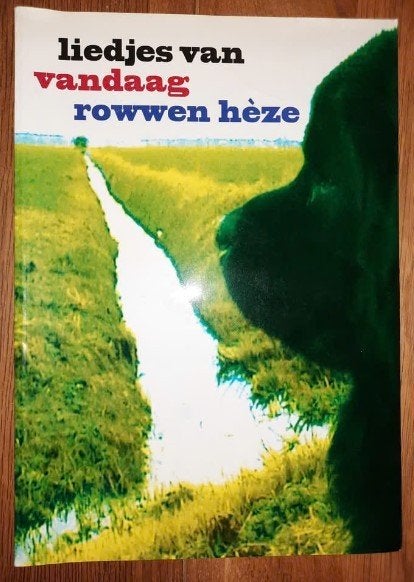 Zang / Gitaar Rowwen Heze - Liedjes Van Vandaag-songbook, Muziek en Instrumenten, Gitaar, Gebruikt, Overige genres, Ophalen of Verzenden