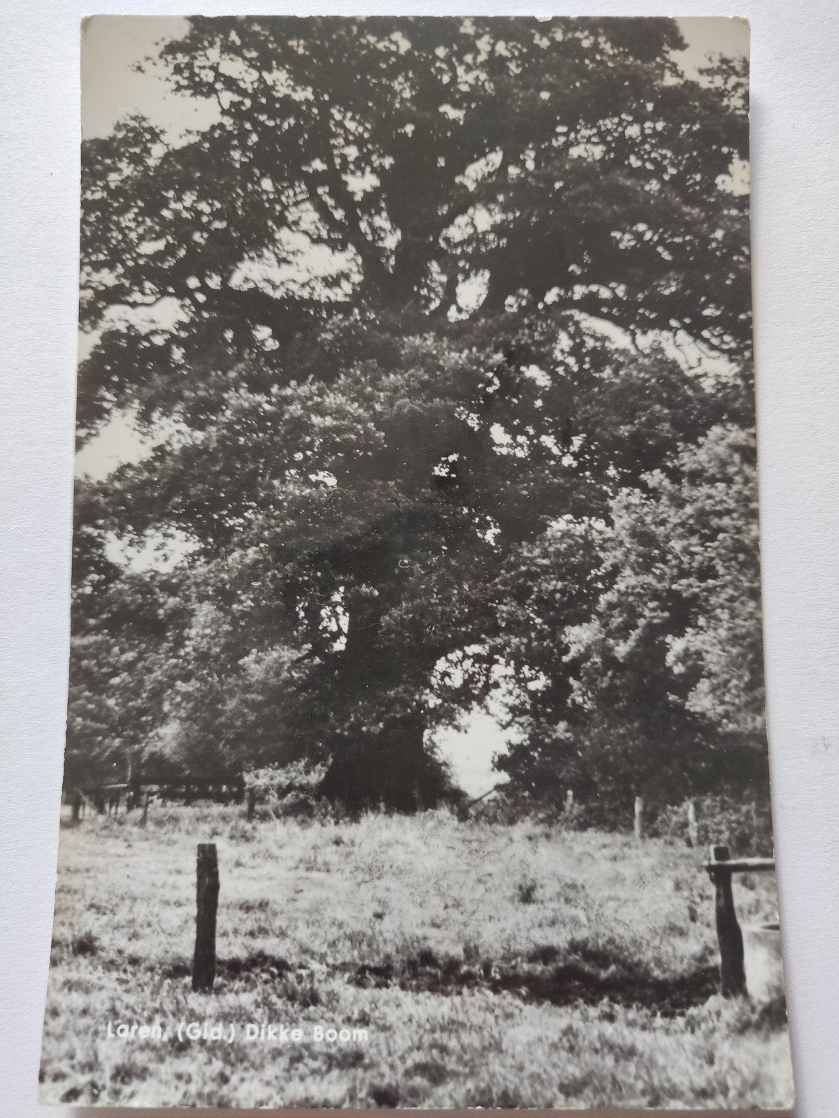 C1075 Laren, Ophalen of Verzenden, 1920 tot 1940, Noord-Holland