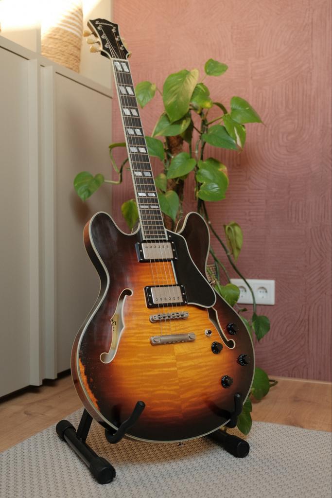 Eastman T59/V - Zo goed als nieuw, Muziek en Instrumenten, Ophalen, Zo goed als nieuw, Semi-solid body, Overige merken