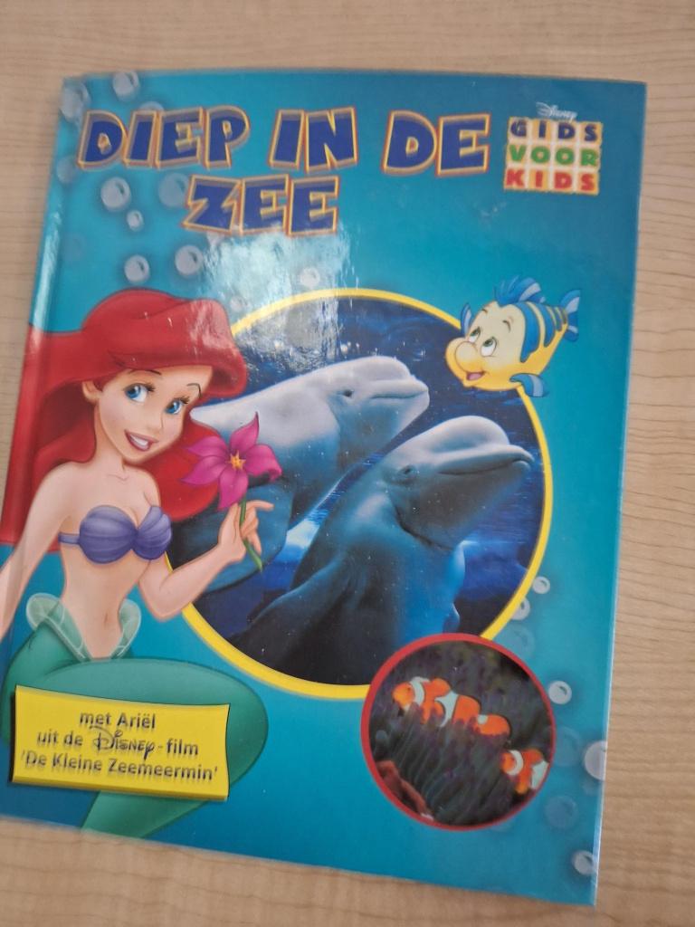 boek diep in de zee met Ariel Disney, Ophalen of Verzenden, Zo goed als nieuw, Overige typen