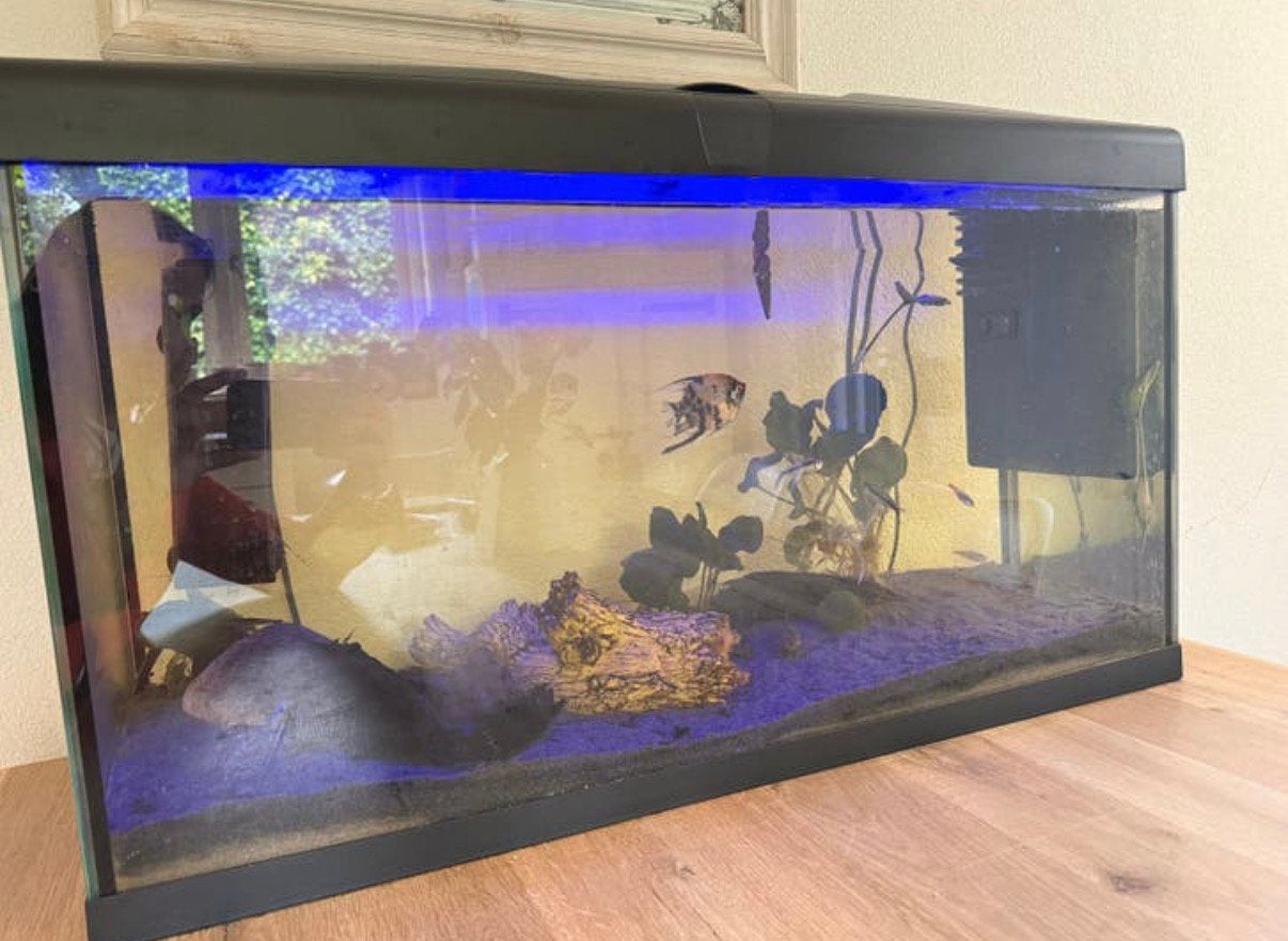 Aquarium 100-110 L met vissen en toebehoren, Dieren en Toebehoren, Vissen | Aquaria en Toebehoren, Ophalen, Zo goed als nieuw