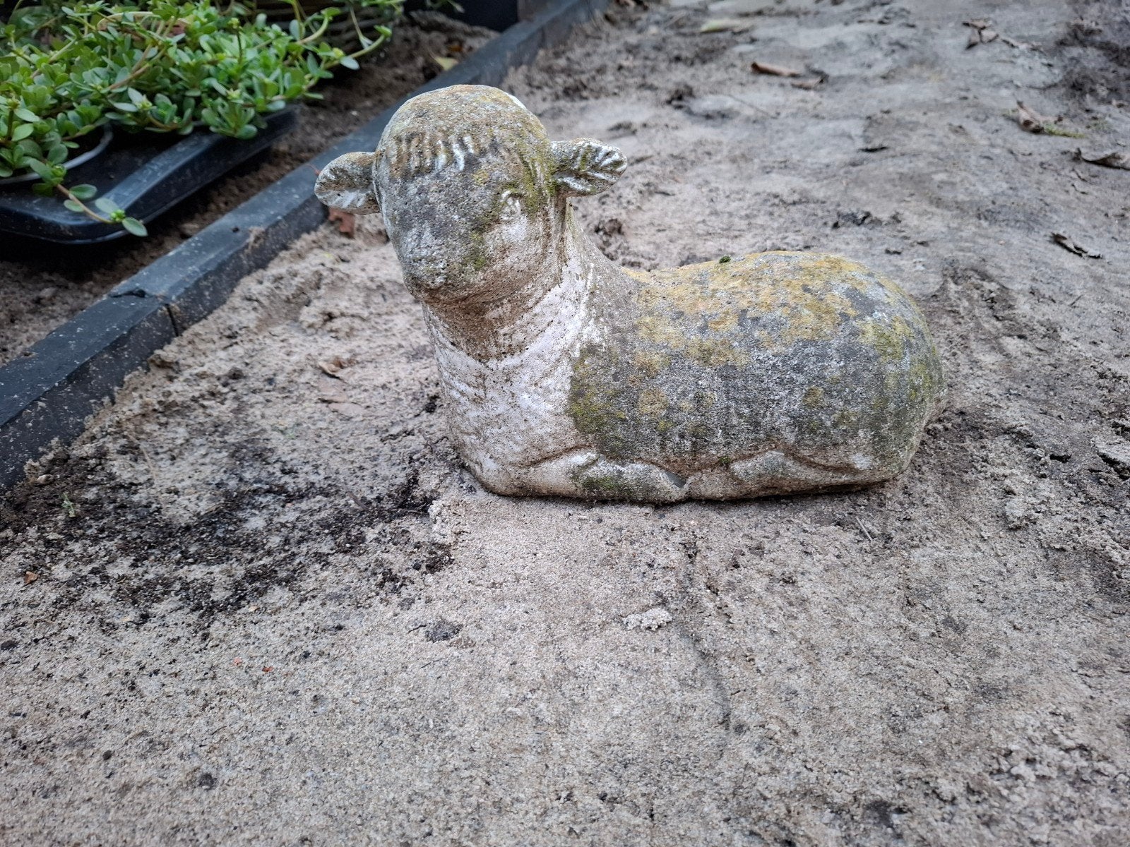 Schattig stenen lammetje - Tuinbeeld, Tuin en Terras, Tuinbeelden, Ophalen