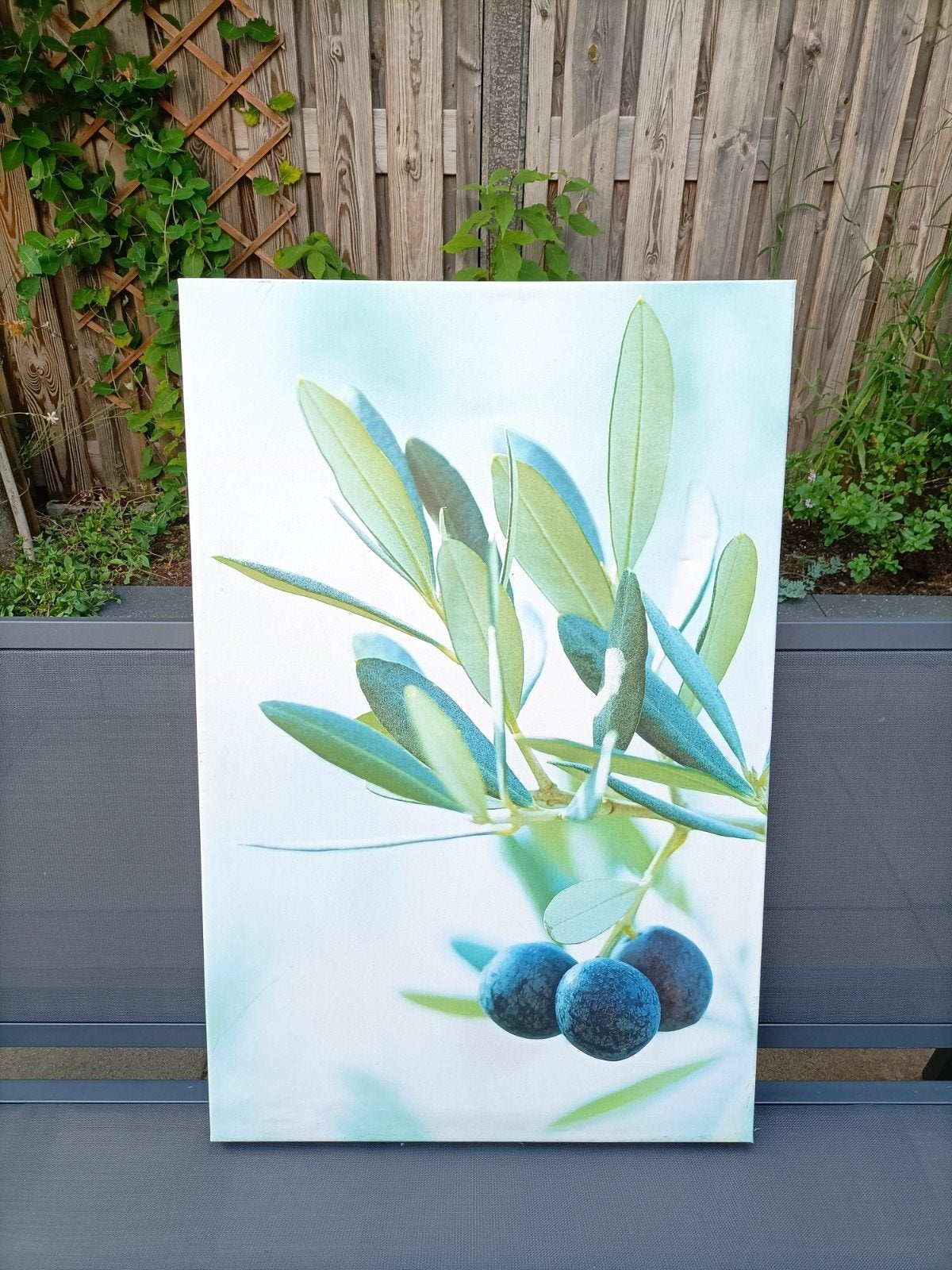 Buitenschilderij olijftak, Ophalen, Gebruikt