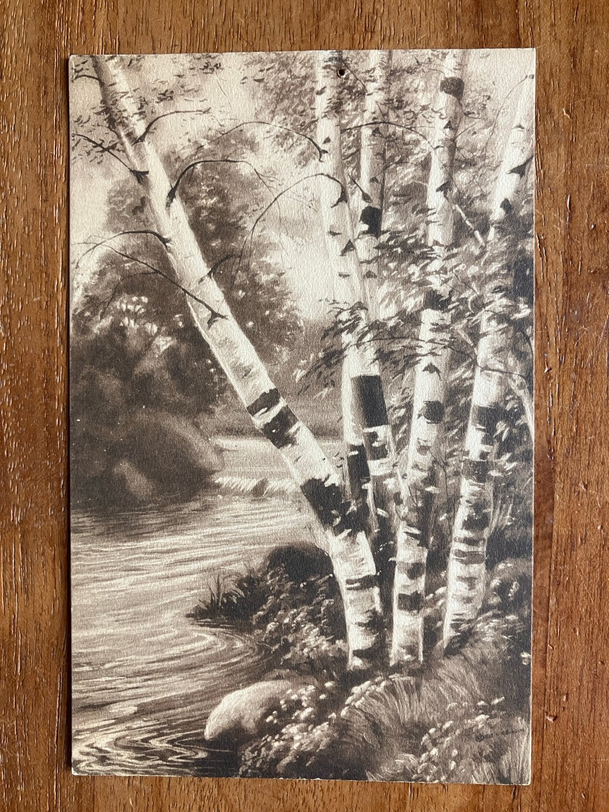 Rivierlandschap met Berkenbomen - The Pink Perfection, Ophalen of Verzenden, Voor 1920, Ongelopen, Natuur
