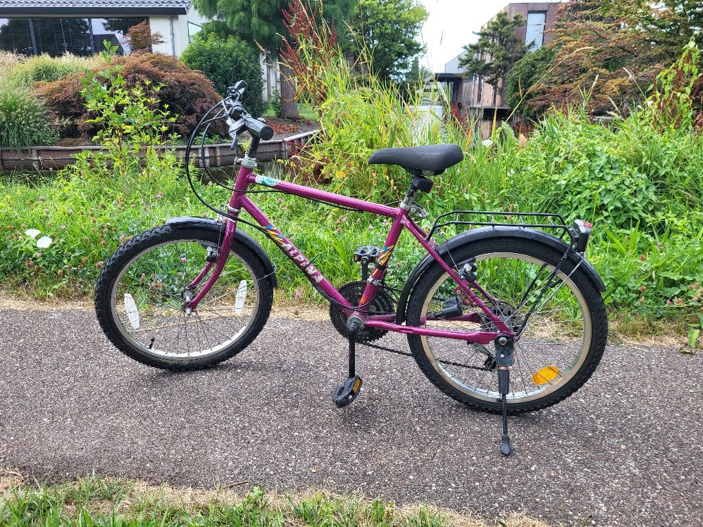 Alpina kinderfiets 20 inch - Paars, Ophalen, 20 inch of meer, Gebruikt, Velgrem