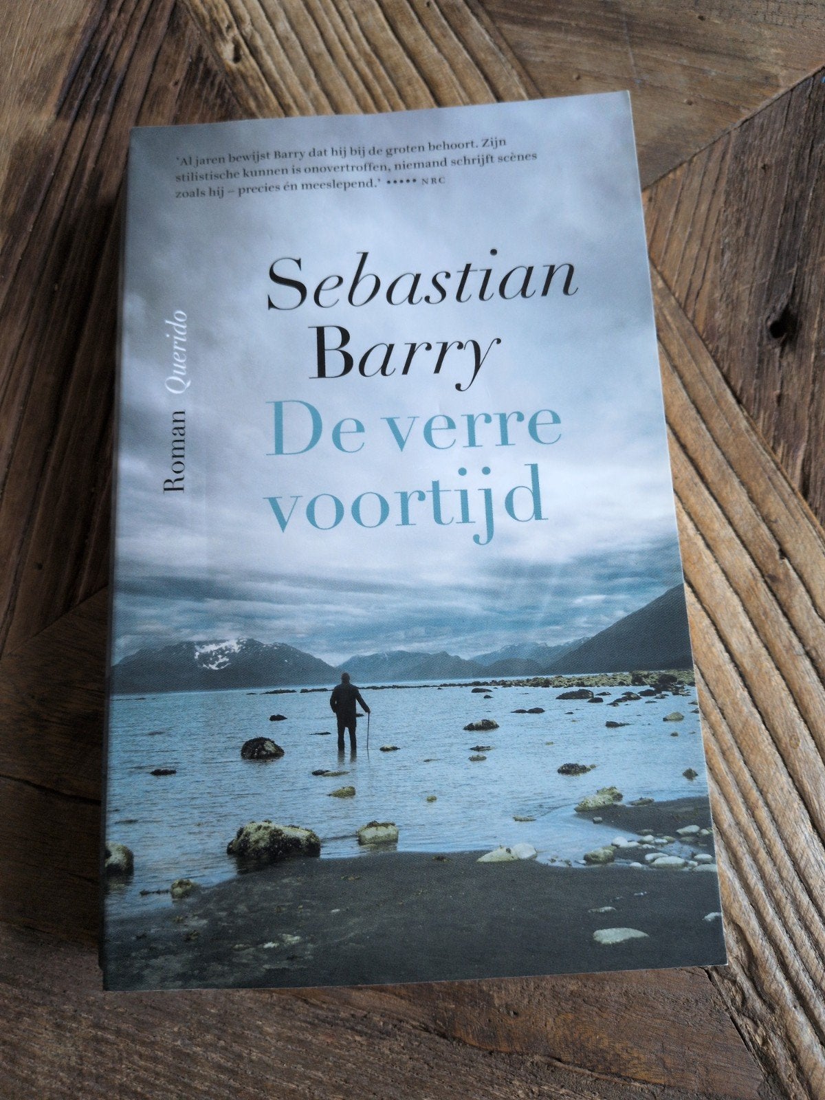 De Verre Voortijd - Sebastian Barry (Roman), Boeken, Romans, Ophalen of Verzenden, Gelezen, Sebastian Barry, Europa overig