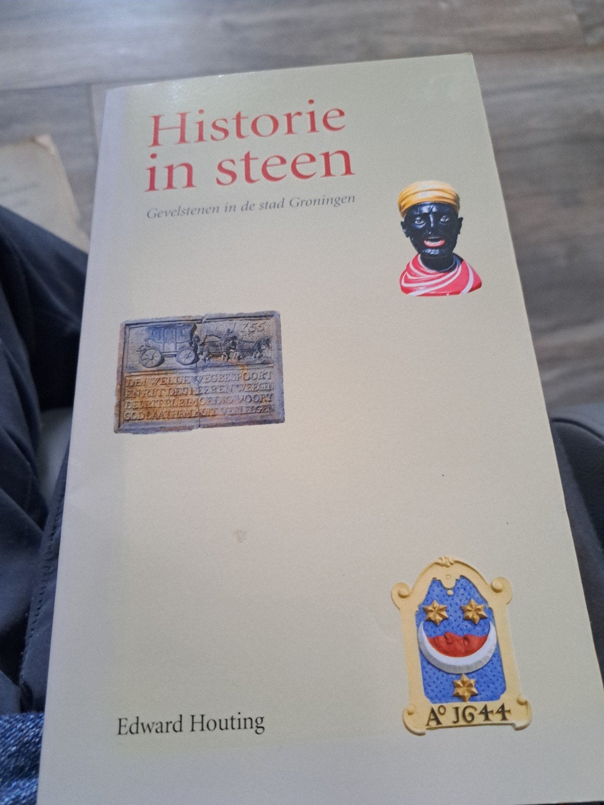 Historie in steen: Gevelstenen in de stad Groningen, Ophalen of Verzenden, 20e eeuw of later, Gelezen, Edward Houting