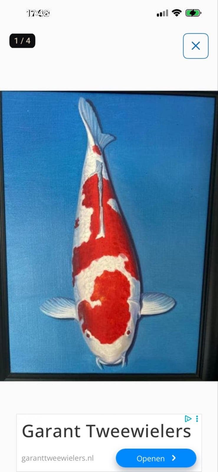 Schilderij Koi Karper olie Handgeschilderd Ingelijst, Handgeschilderd, Ophalen of Verzenden, Dieren, Olieverf
