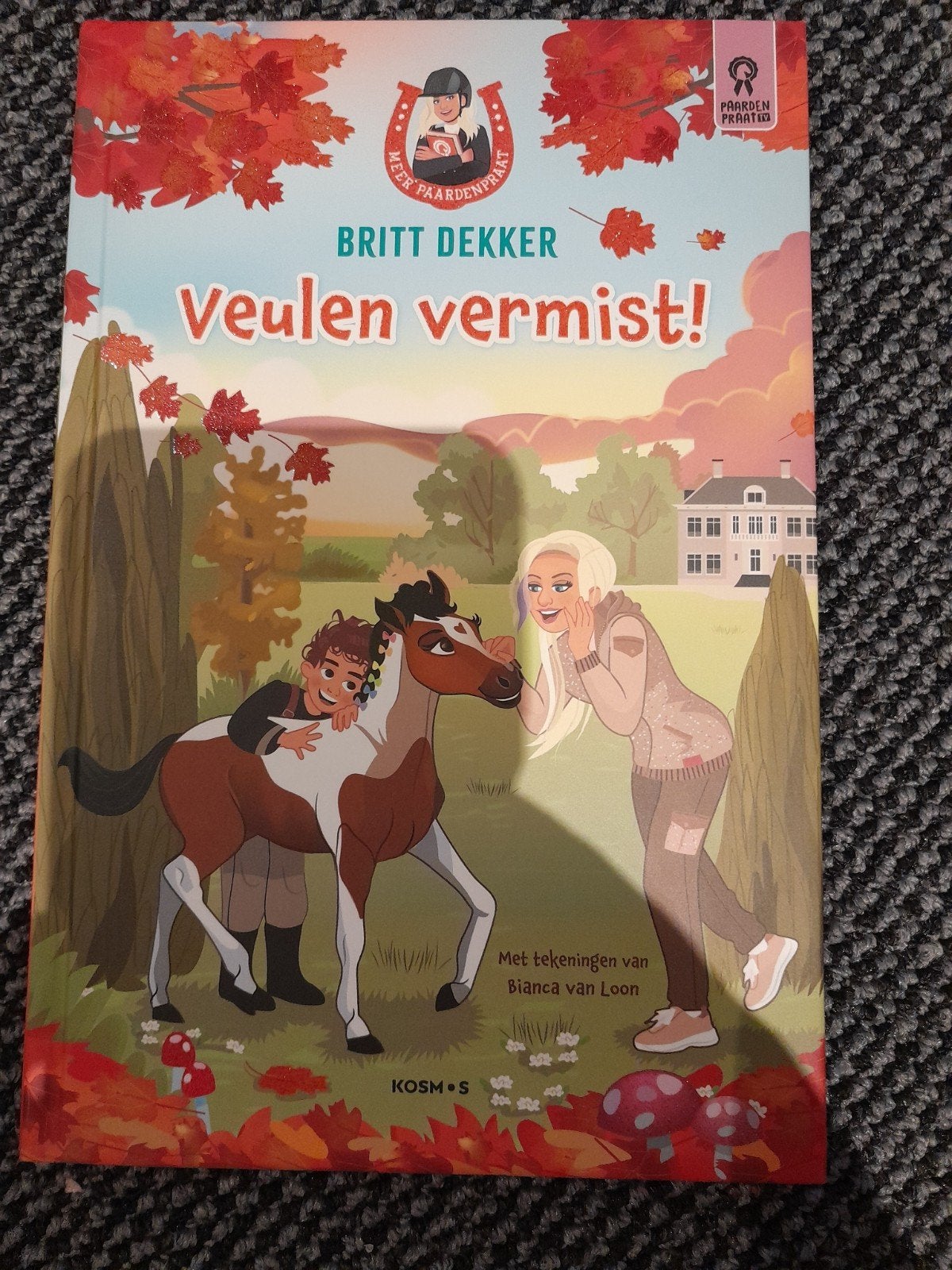 Britt Dekker - Veulen vermist!, Fictie algemeen, Ophalen of Verzenden, Zo goed als nieuw, Britt Dekker