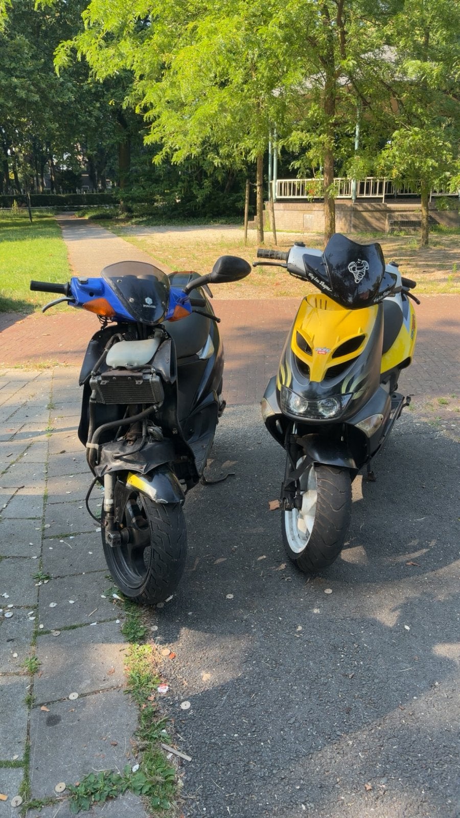 Aprilia SR50 Sport Lemon yellow editie, Fietsen en Brommers, Scooters | Aprilia, Ophalen, Tweetakt, Maximaal 45 km/u, SR 50