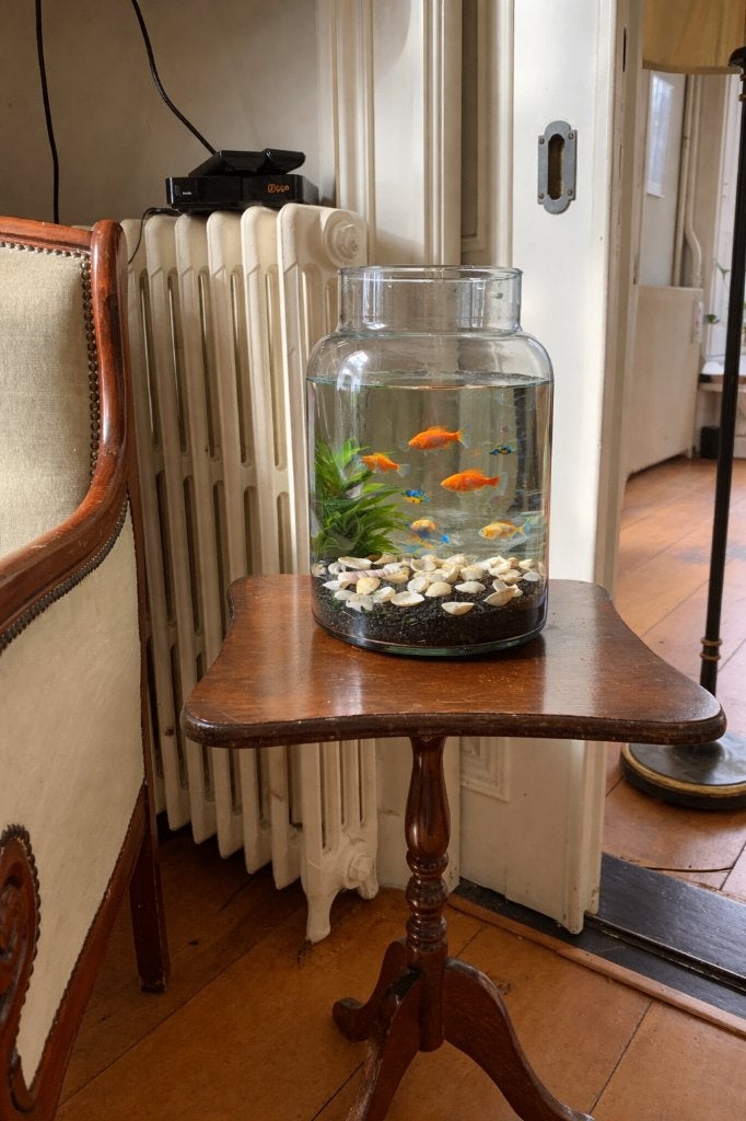 Aquarium viskom vissenkom + toebehoren, Gebruikt, Overige merken, Ophalen of Verzenden, Leeg aquarium