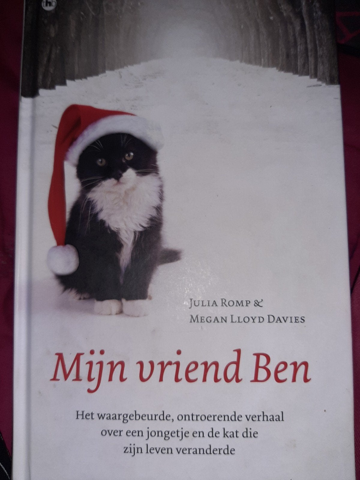 Mijn vriend Ben  met  Julia Romp & Megan Lloyd Davies, Ophalen of Verzenden, Zo goed als nieuw, Julia Romp & Megan Lloyd Davies