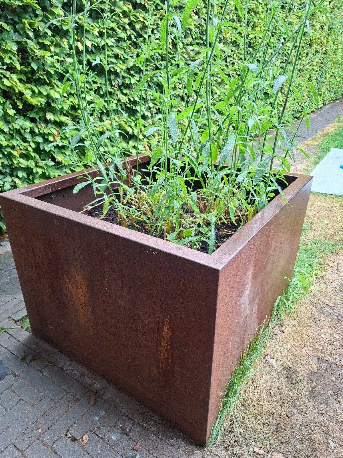 cortenstalen plantenbak, Tuin en Terras, Bloembakken en Plantenbakken, Ophalen, Metaal