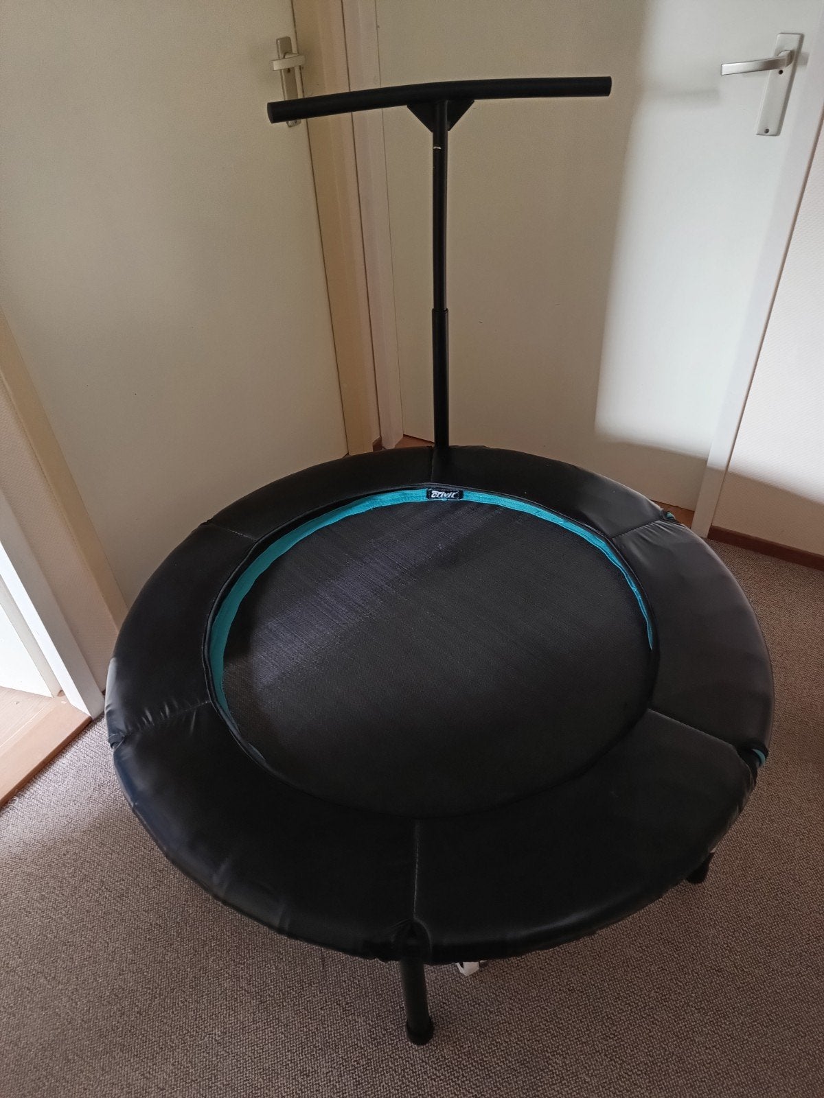 fitness trampoline, Sport en Fitness, Ophalen, Overige typen