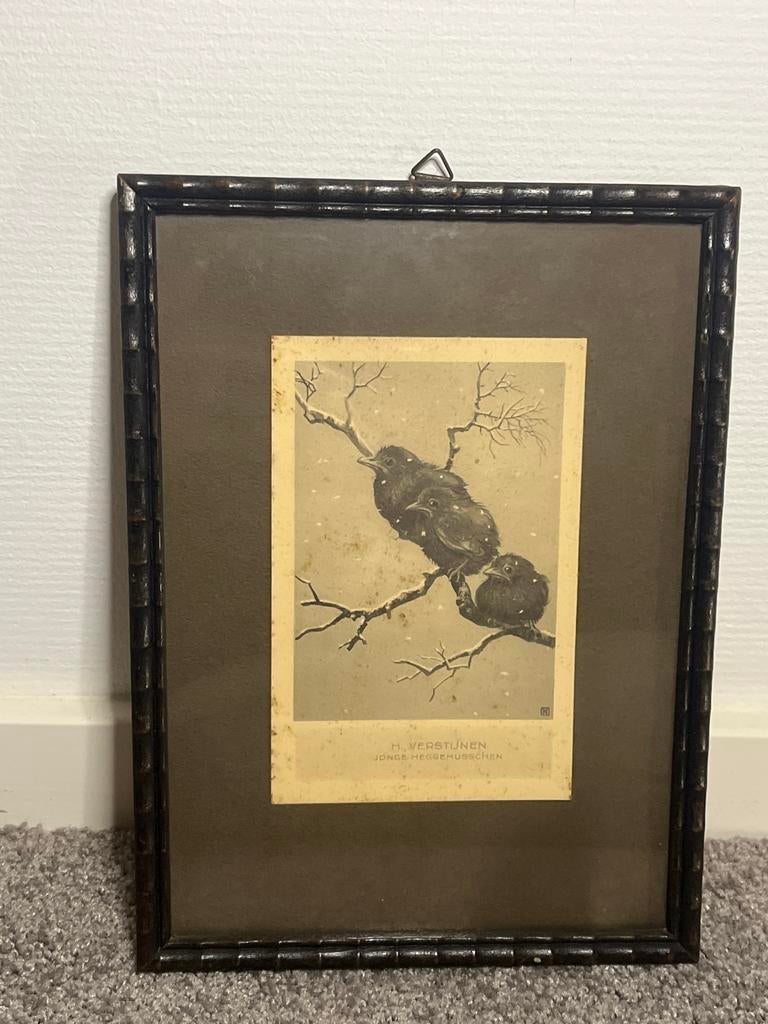 Antiek lijstje met prent: H. Verstijnen - Jonge Heggemussche, Antiek en Kunst, Ophalen of Verzenden