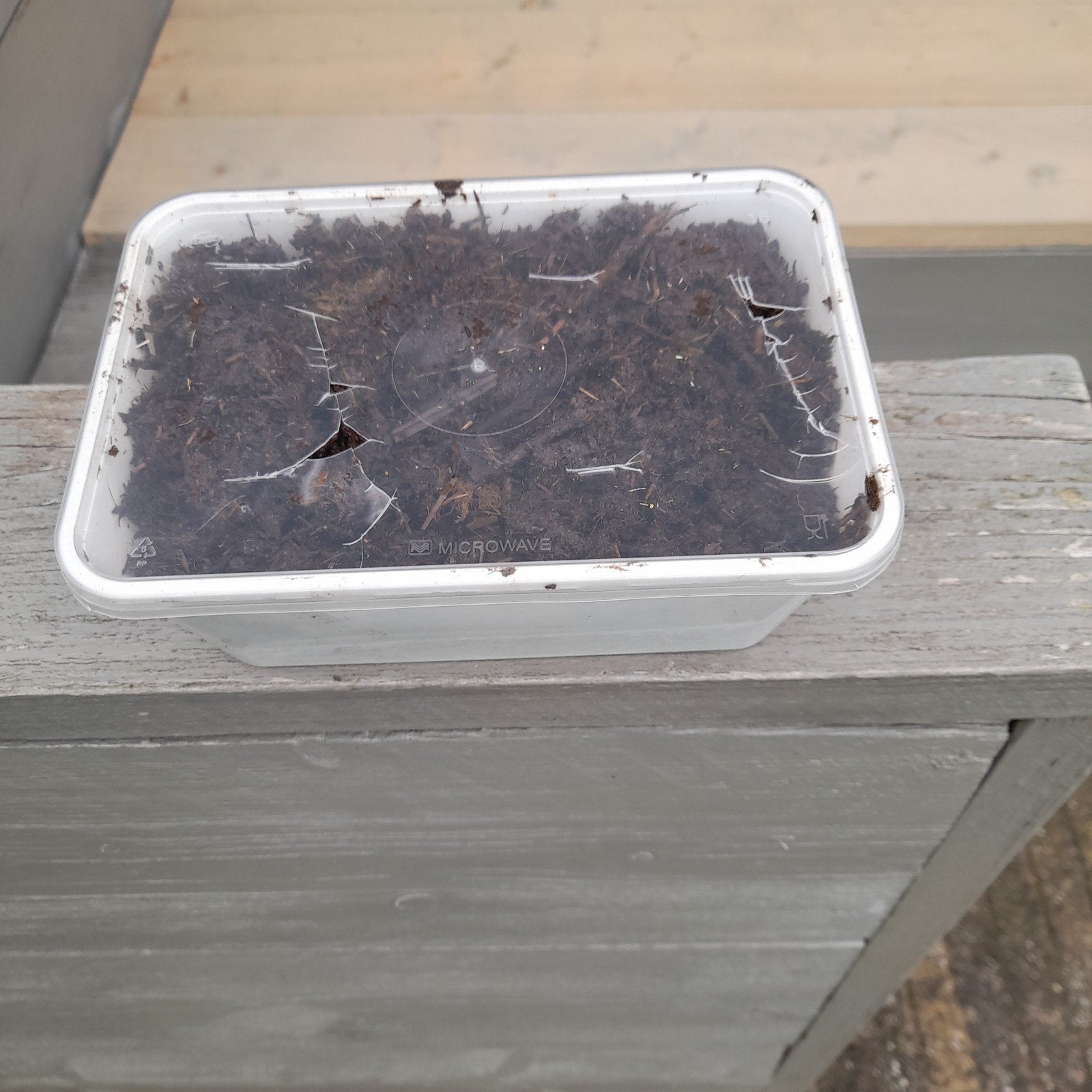 Compostwormen in compost, Ophalen of Verzenden