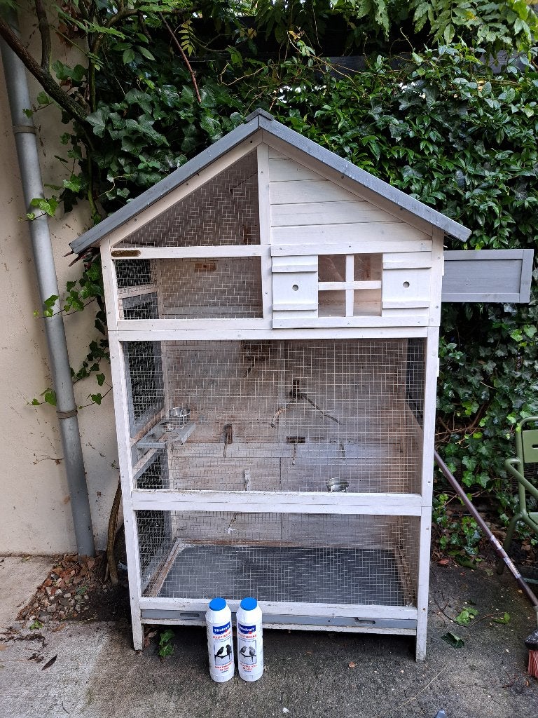 Grote vogelkooi, Dieren en Toebehoren, Ophalen, Gebruikt, Hout, Vogelkooi