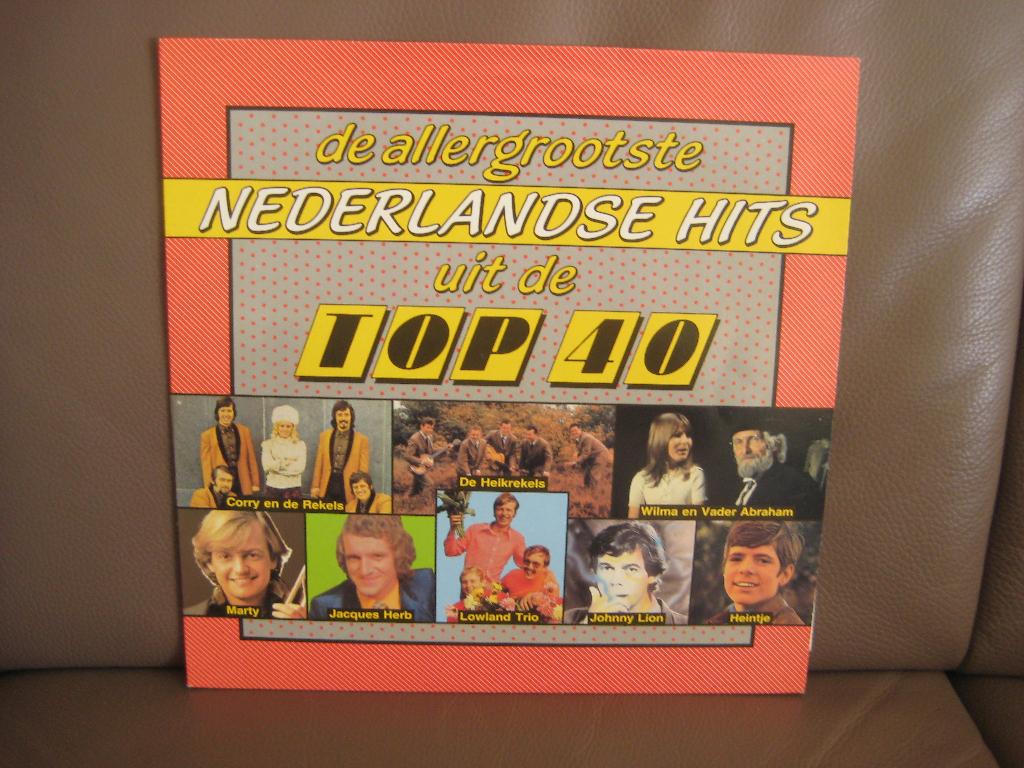 De Allergrootste Nederlandse Hits Uit De Top 40, Ophalen of Verzenden, Zo goed als nieuw, 12 inch, Levenslied of Smartlap