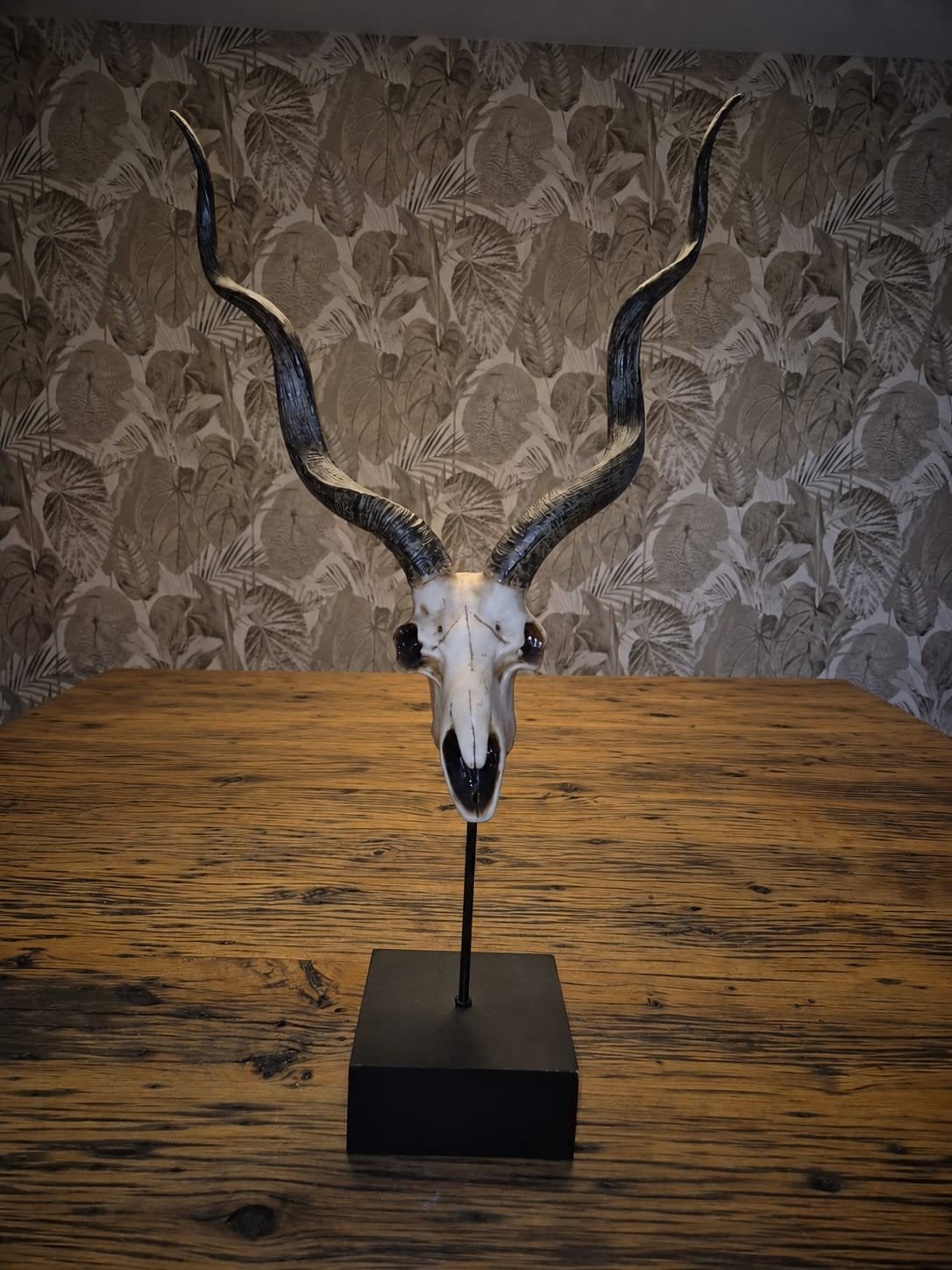Kudu schedel met hoorns op standaard, Ophalen, Schedel