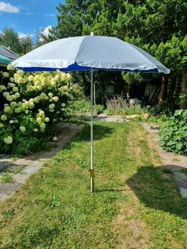 parasol, Ophalen of Verzenden
