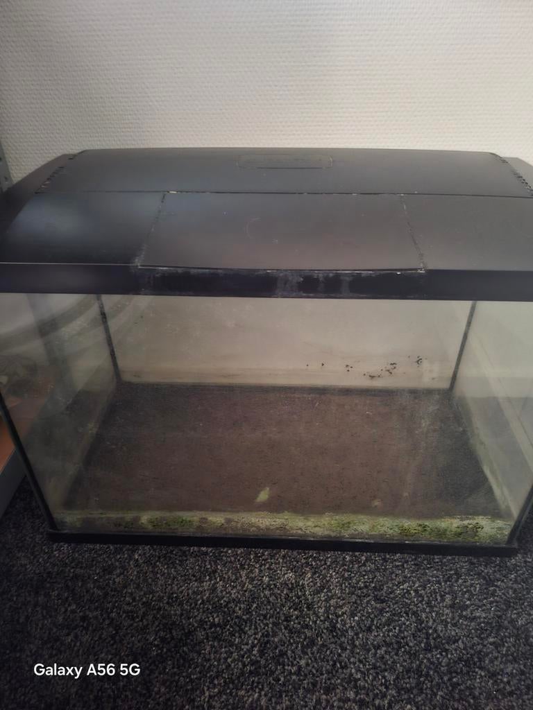 aquarium met let lamp + reszerve lamp, Dieren en Toebehoren, Ophalen, Verwarming, Gebruikt, Leeg aquarium