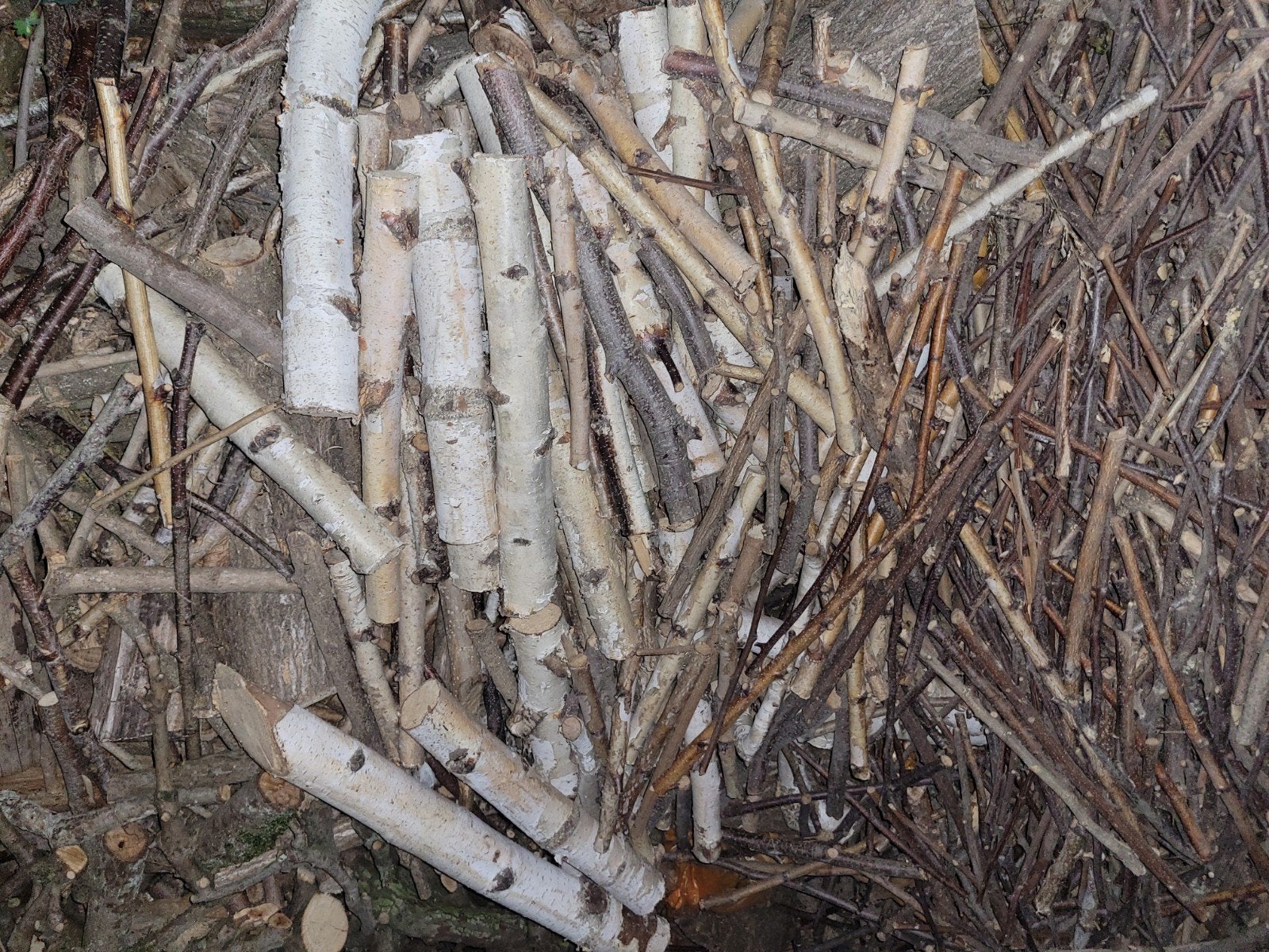 Openhaard hout, Minder dan 3 m³, Ophalen of Verzenden