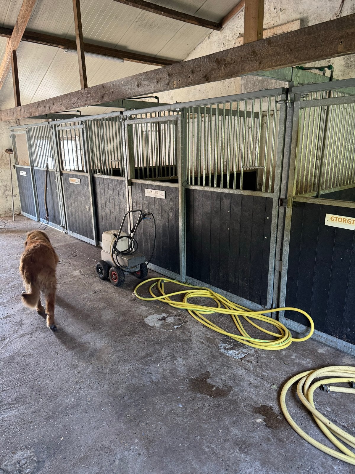 Paardenboxen, Stalling, 2 of 3 paarden of pony's