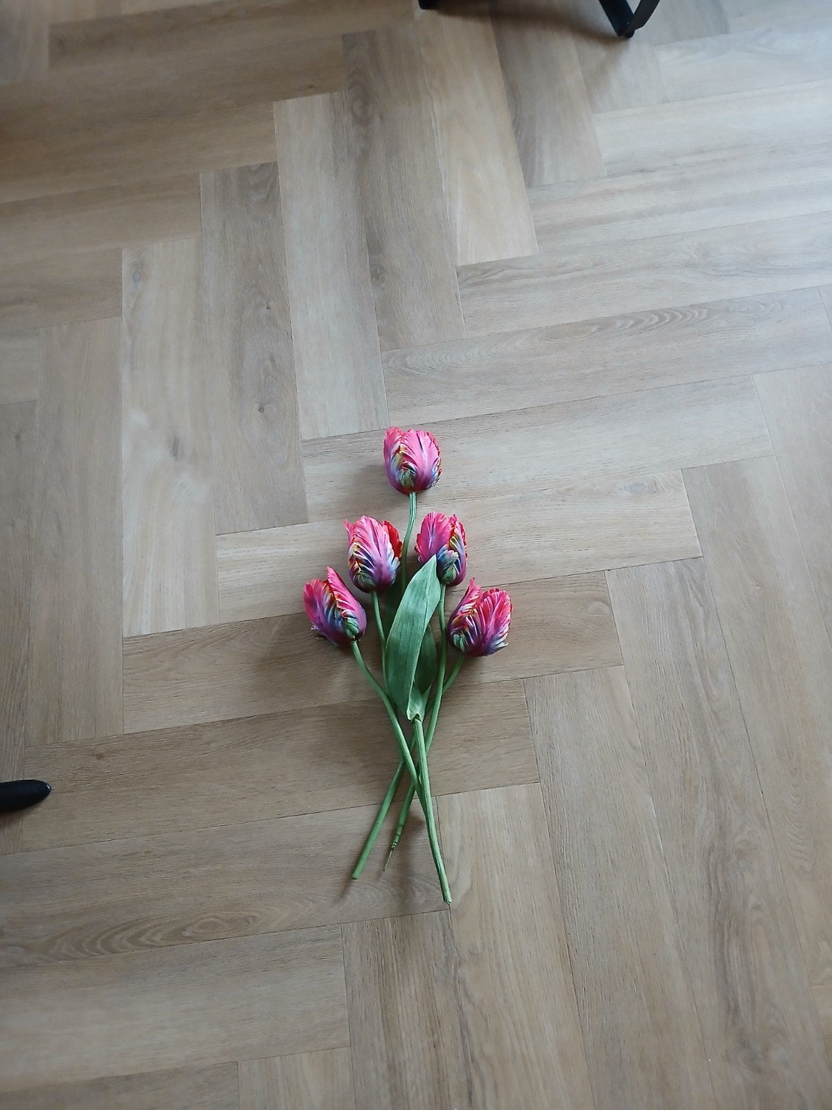 kunst tulpen, Ophalen
