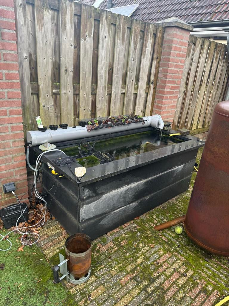 Terrasvijver met filter, plantenfilter en vissen, Ophalen, Gebruikt