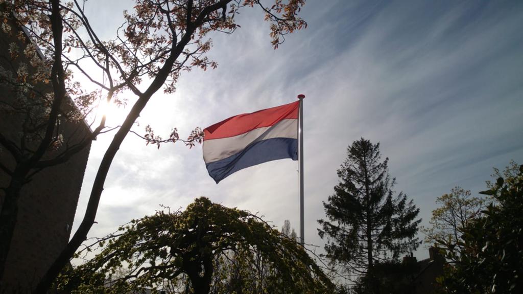 Vlag Nederland fotmaat 150 x 225 cm, Ophalen of Verzenden, Nieuw