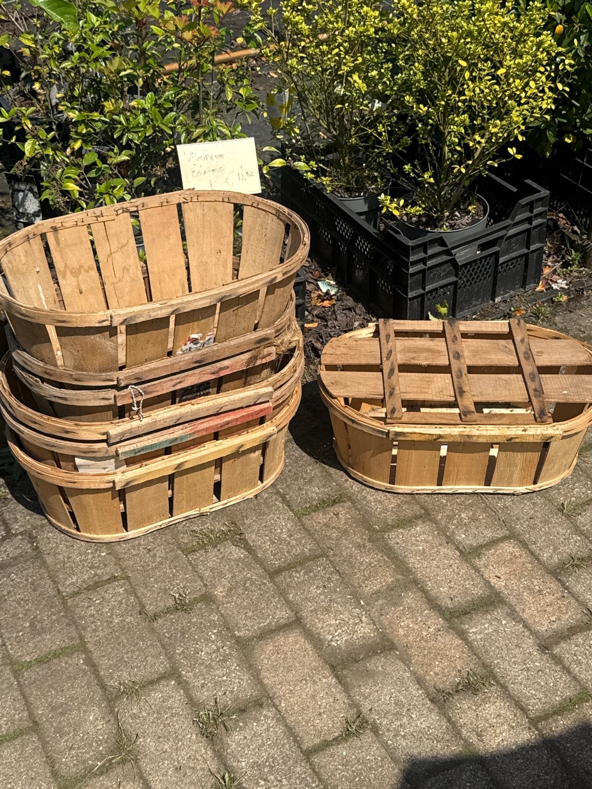 Fruitkistjes, Ophalen of Verzenden
