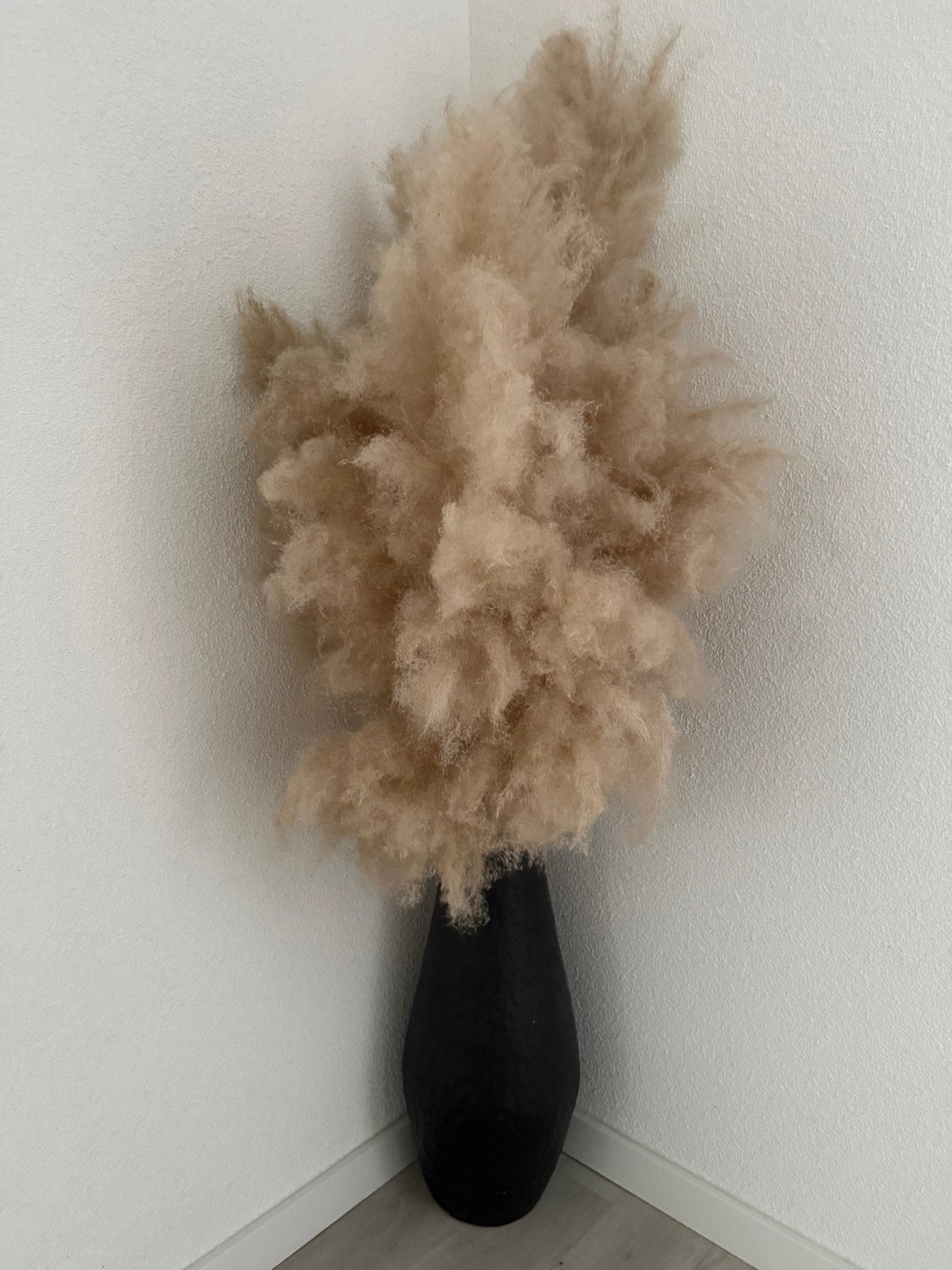 Pampas met vaas, Ophalen, Zo goed als nieuw