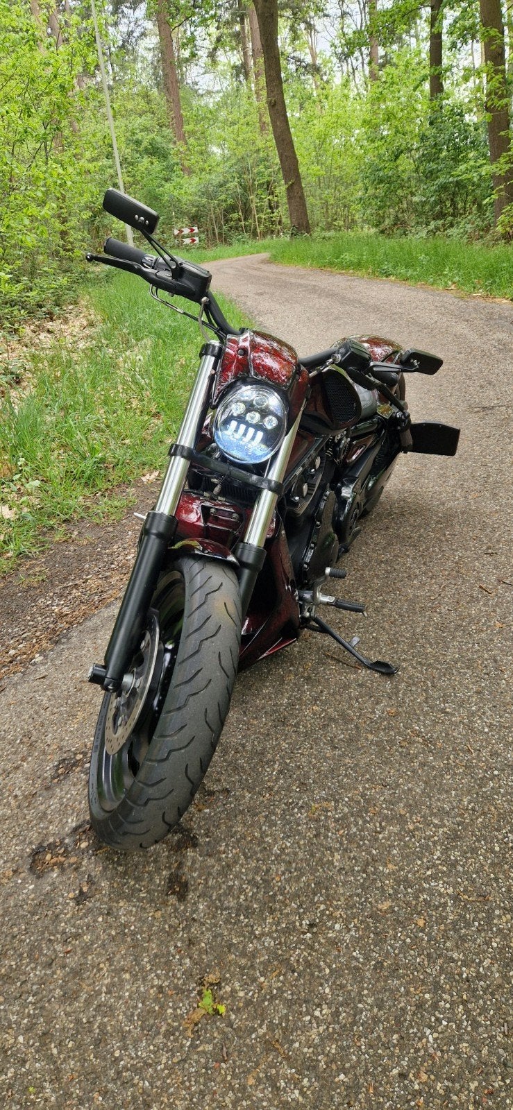 Harley Davidson Night Rod Special 2007 - Custom