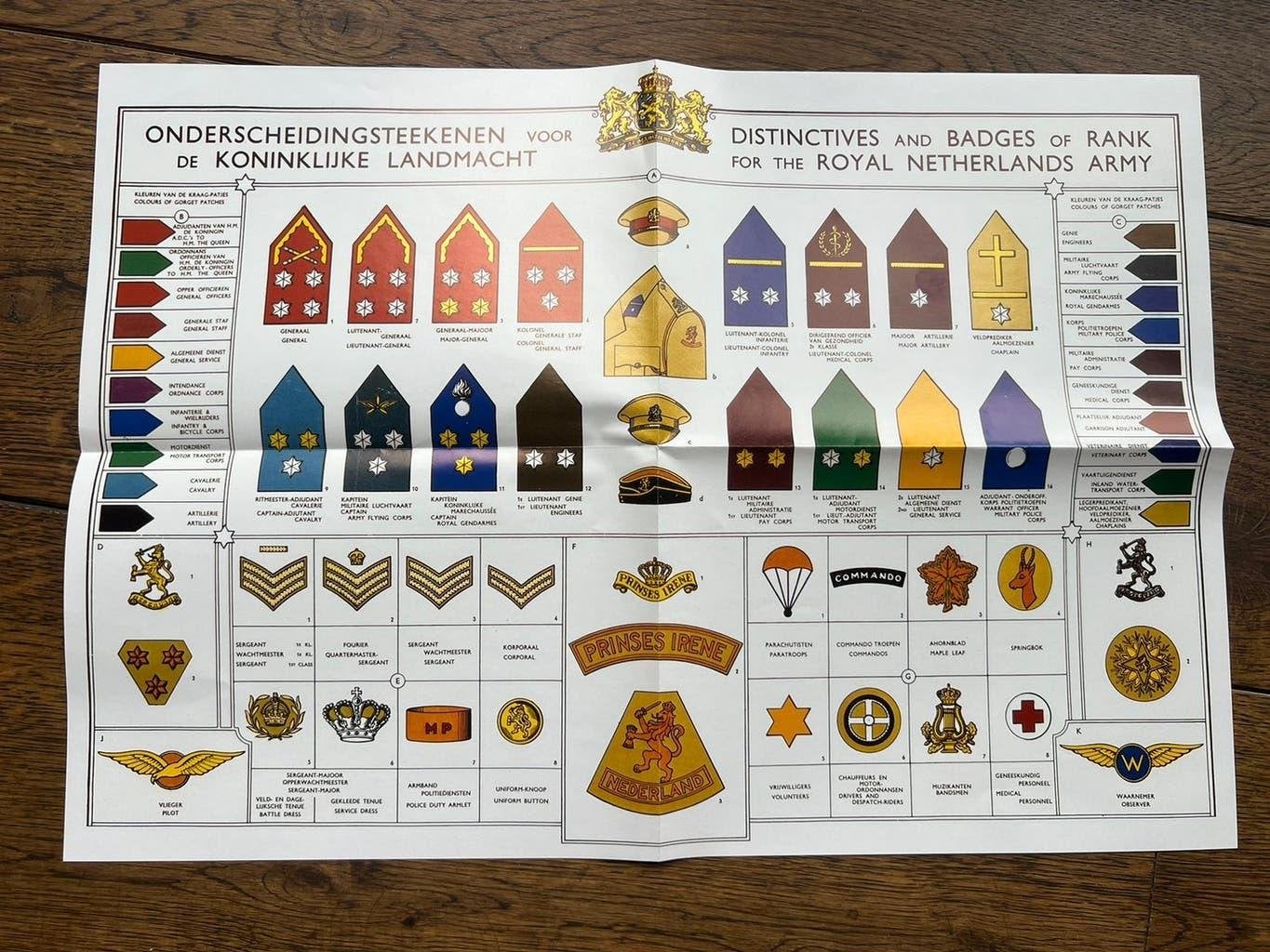 Nederlands PIB plaat emblemen parachute baret leeuw, Verzenden, Nederland, Embleem of Badge