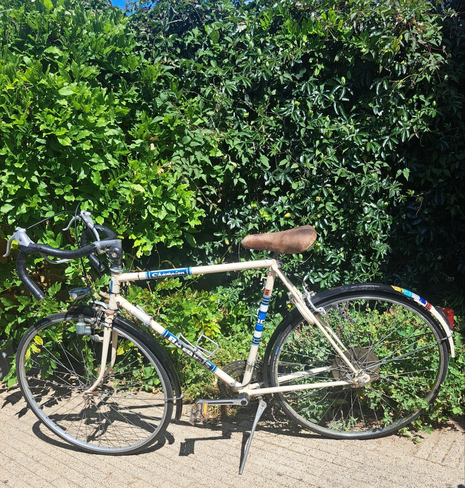 Batavus Champion tour-, racefiets, Ophalen of Verzenden