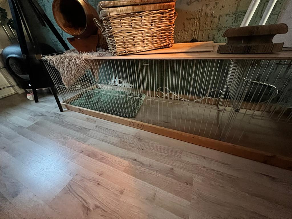 Kittenren, Dieren en Toebehoren, Katten-accessoires, Gebruikt, Ophalen of Verzenden