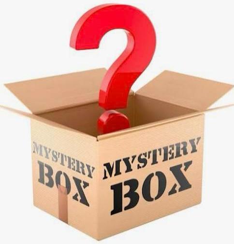 Mystery Box Nederlandse Shirts!, Maat L, Verzenden, Nieuw, Shirt