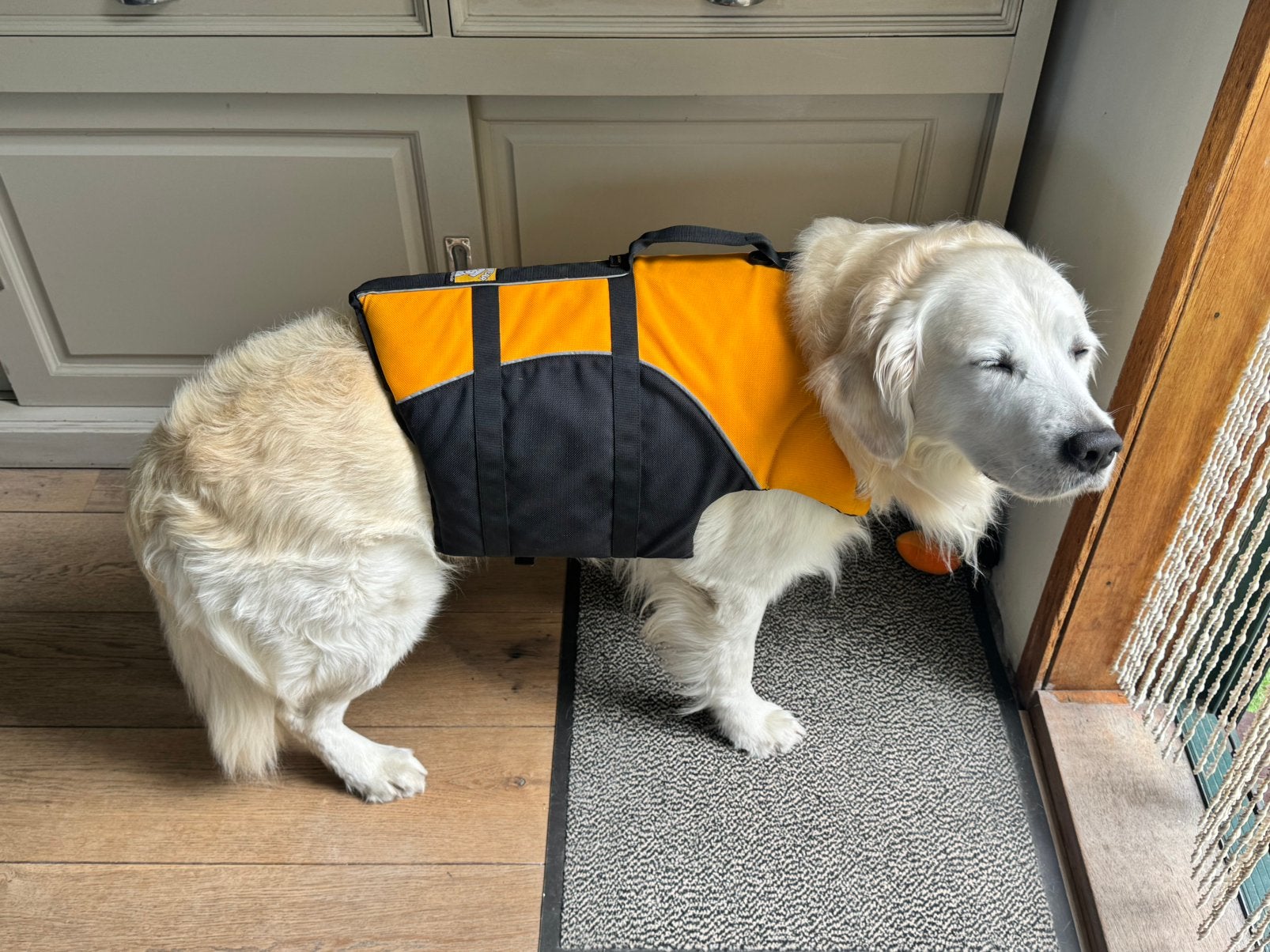 Ruffwear honden zwemvest (middel) grote honden, Ophalen of Verzenden, Zo goed als nieuw, Hondenzwemvest