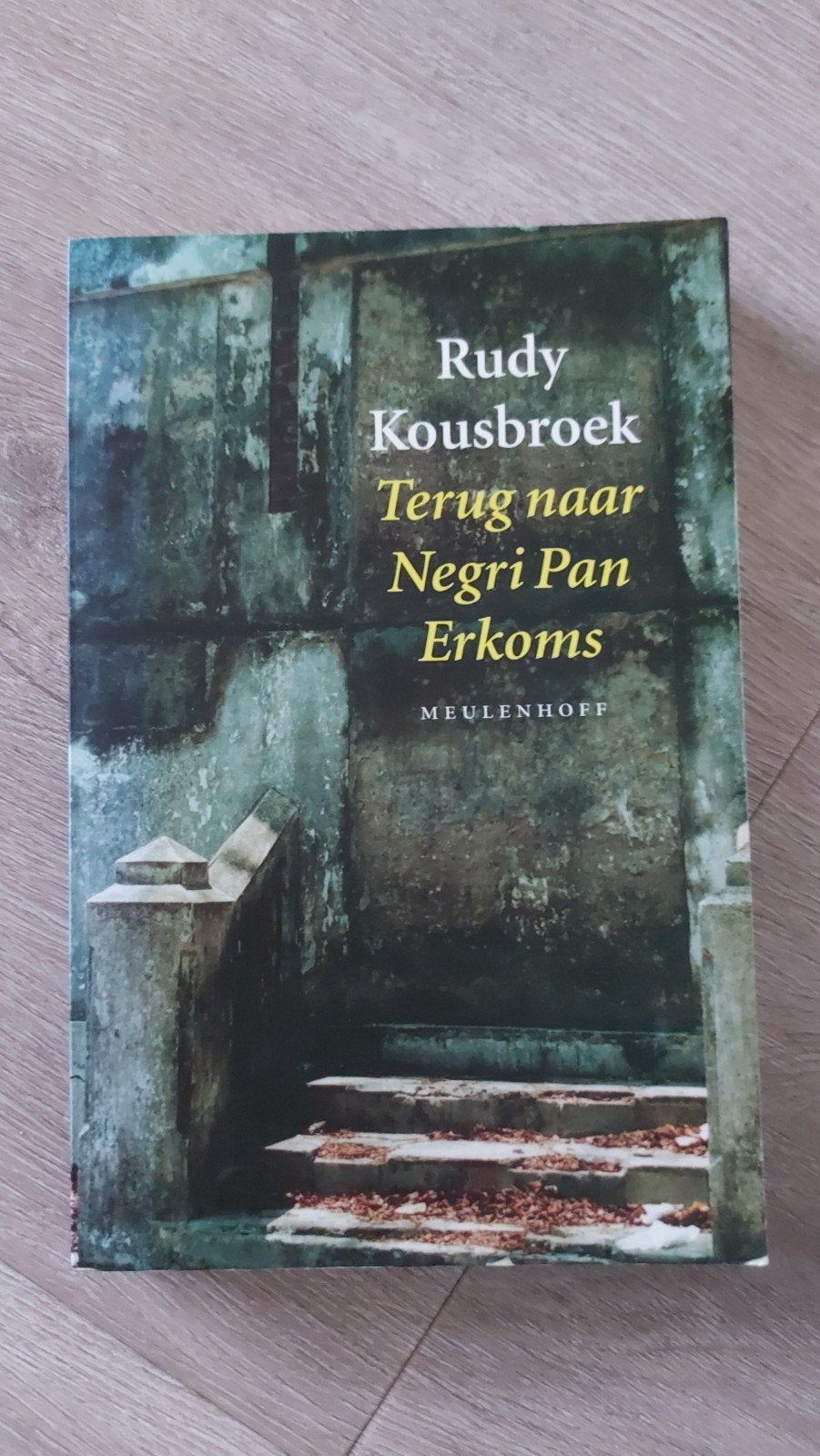 H4: Rudy Kousbroek - Terug naar Negri Pan Erkomst, Ophalen of Verzenden, Zo goed als nieuw, Rudy Kousbroek, Nederland