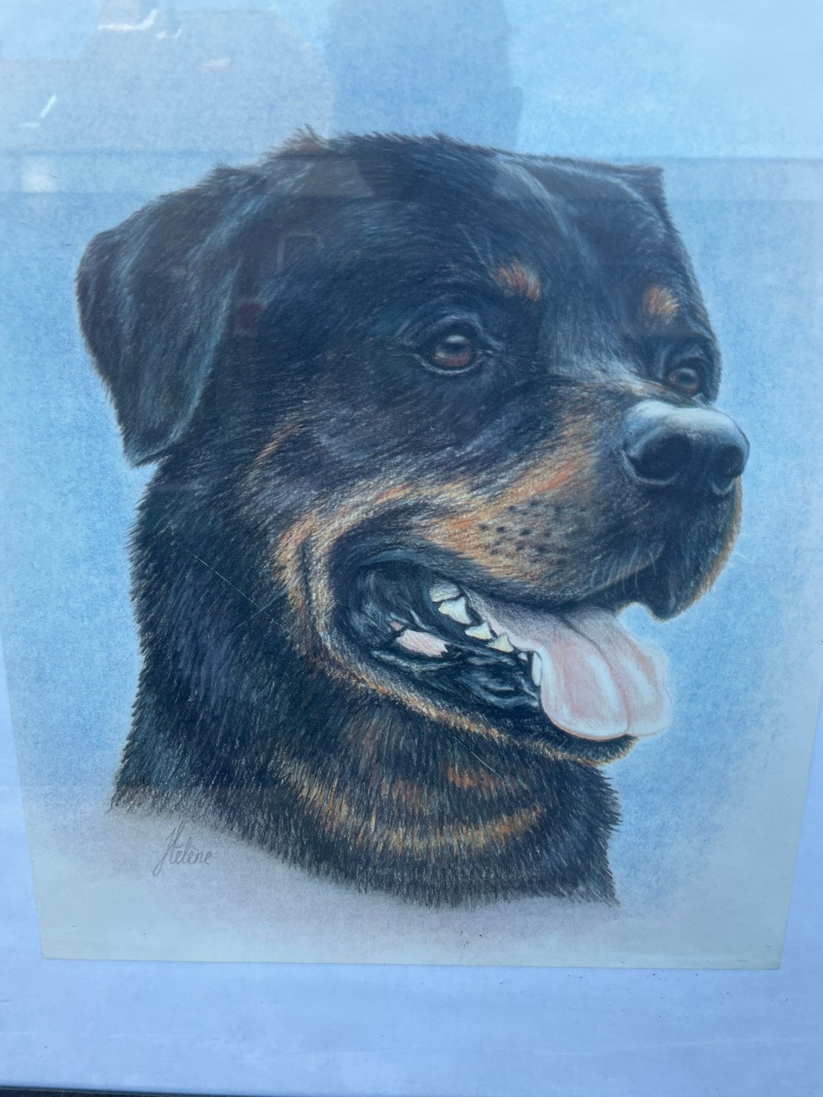 Schilderij Rotweiler witte achterkant, Ophalen